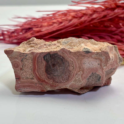 Orbicular Rhyolite Aka: Bird's Eye - Rough Rock