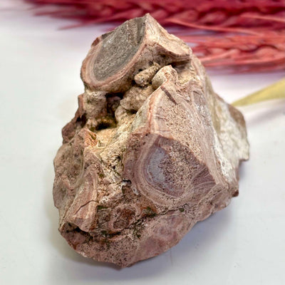 Orbicular Rhyolite Aka: Bird's Eye - Rough Rock