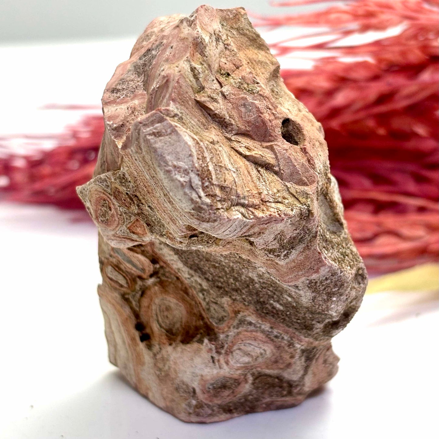 Orbicular Rhyolite Aka: Bird's Eye - Rough Rock