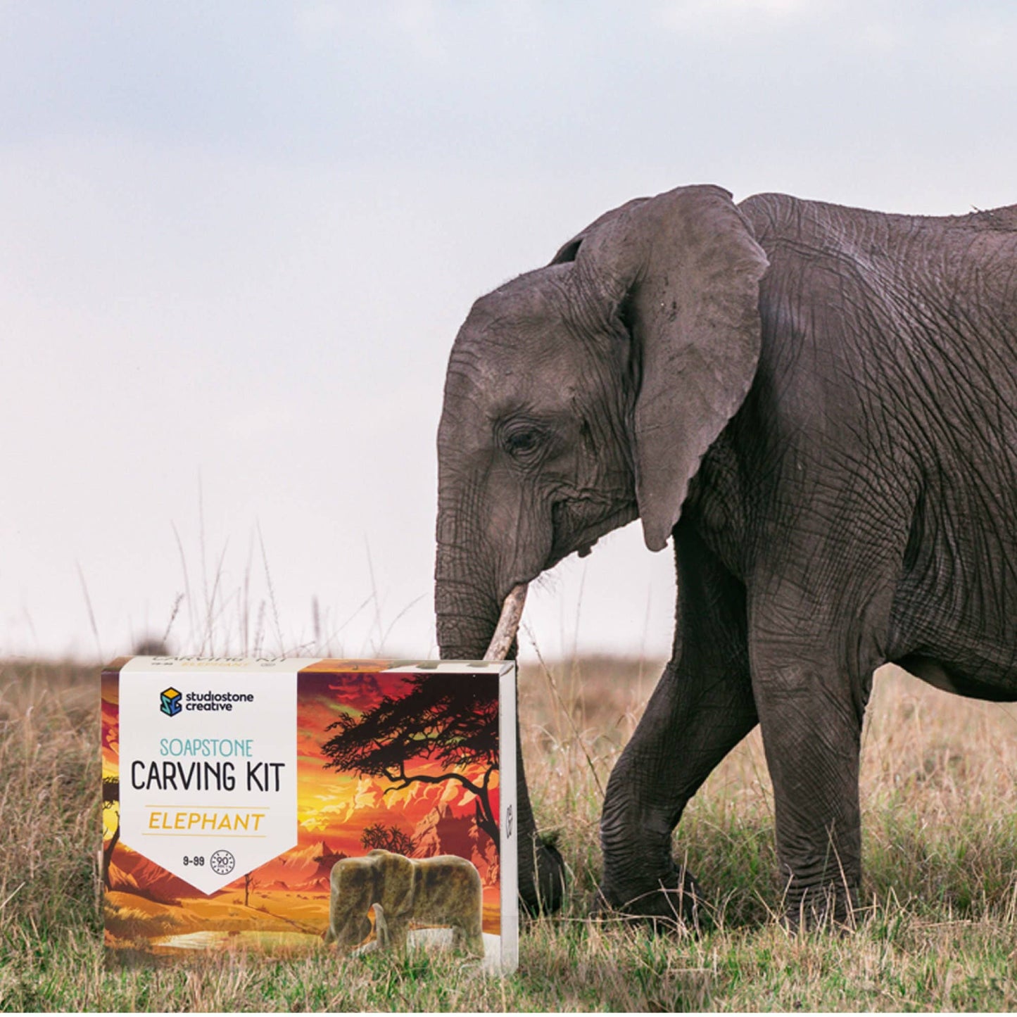 Elephant Soapstone Carving & Whittling—DIY Arts and Craft Kit. All Kid-Safe Tools, Materials Included. For kids and adults 8 to 99+ Years.