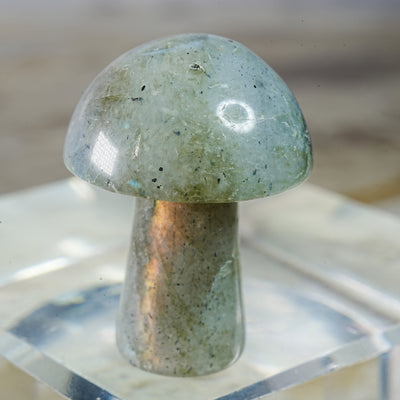 Moonstone Mushroom - Carving