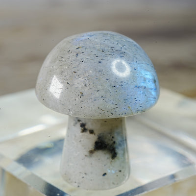 Moonstone Mushroom - Carving