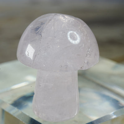 Quartz Mushroom - Carving