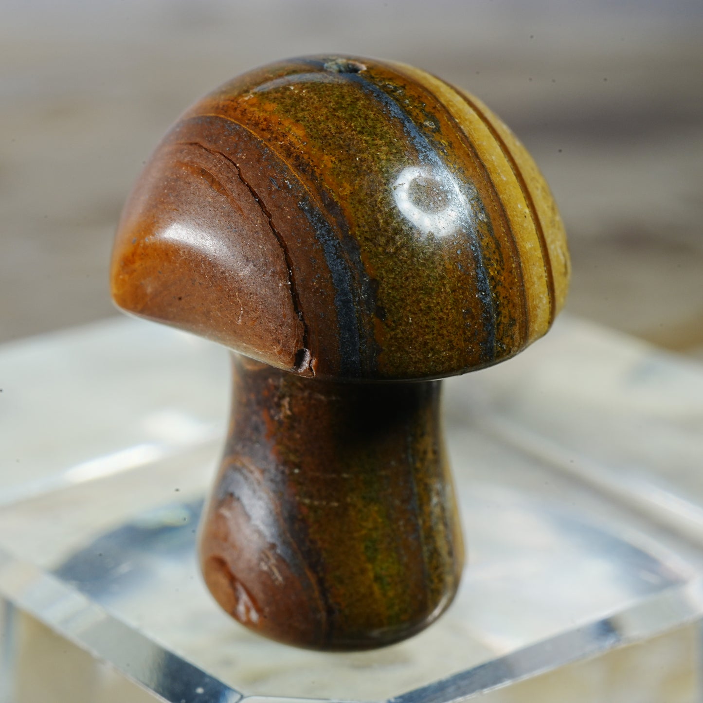 Tiger's Eye Mushroom - Carving