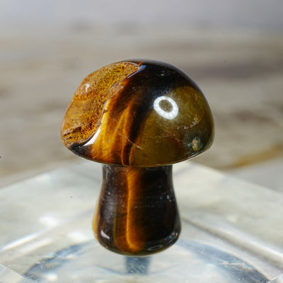 Tiger's Eye Mushroom - Carving
