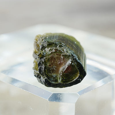 Velvet Green Cap Watermelon Tourmaline - Mineral Specimen