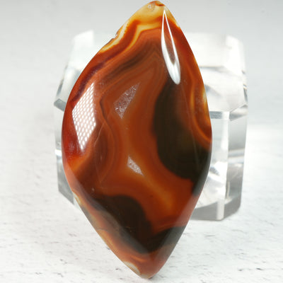Moroccan Red Agate - Cabochon
