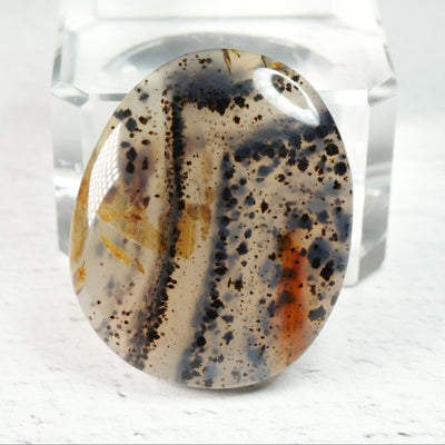 Moss Agate - Cabochon