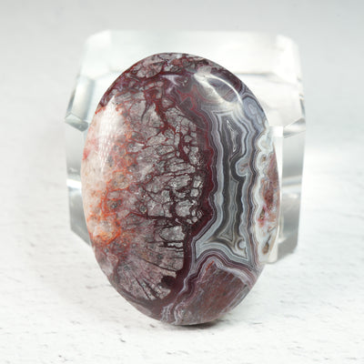 Crazy Lace Agate • Cabochon