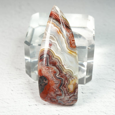 Crazy Lace Agate • Cabochon