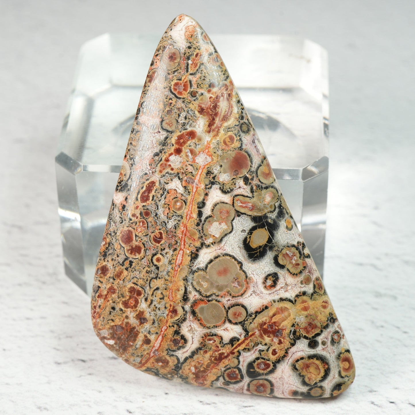 Leopard Skin Jasper • Cabochon