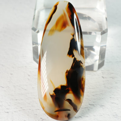 Moss Agate - Cabochon