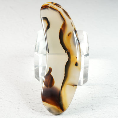 Moss Agate - Cabochon