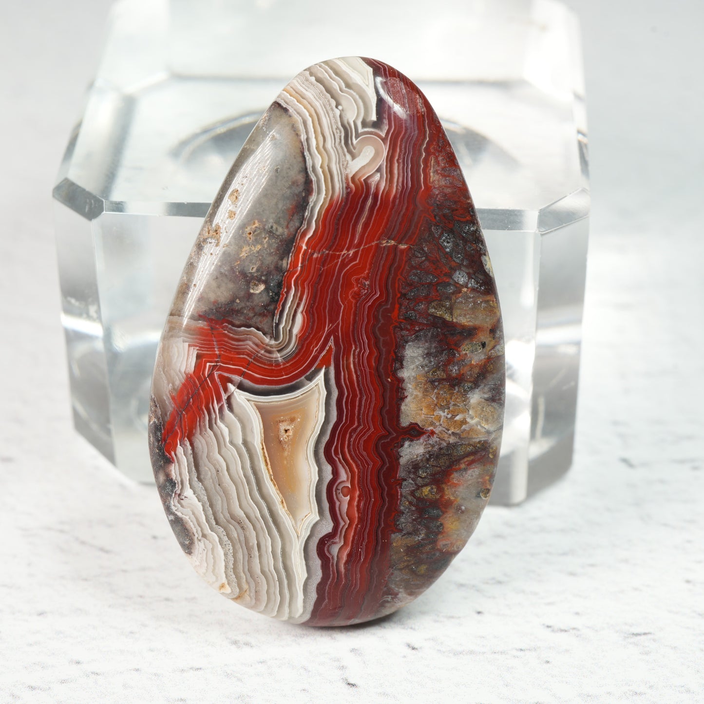 Crazy Lace Agate • Cabochon
