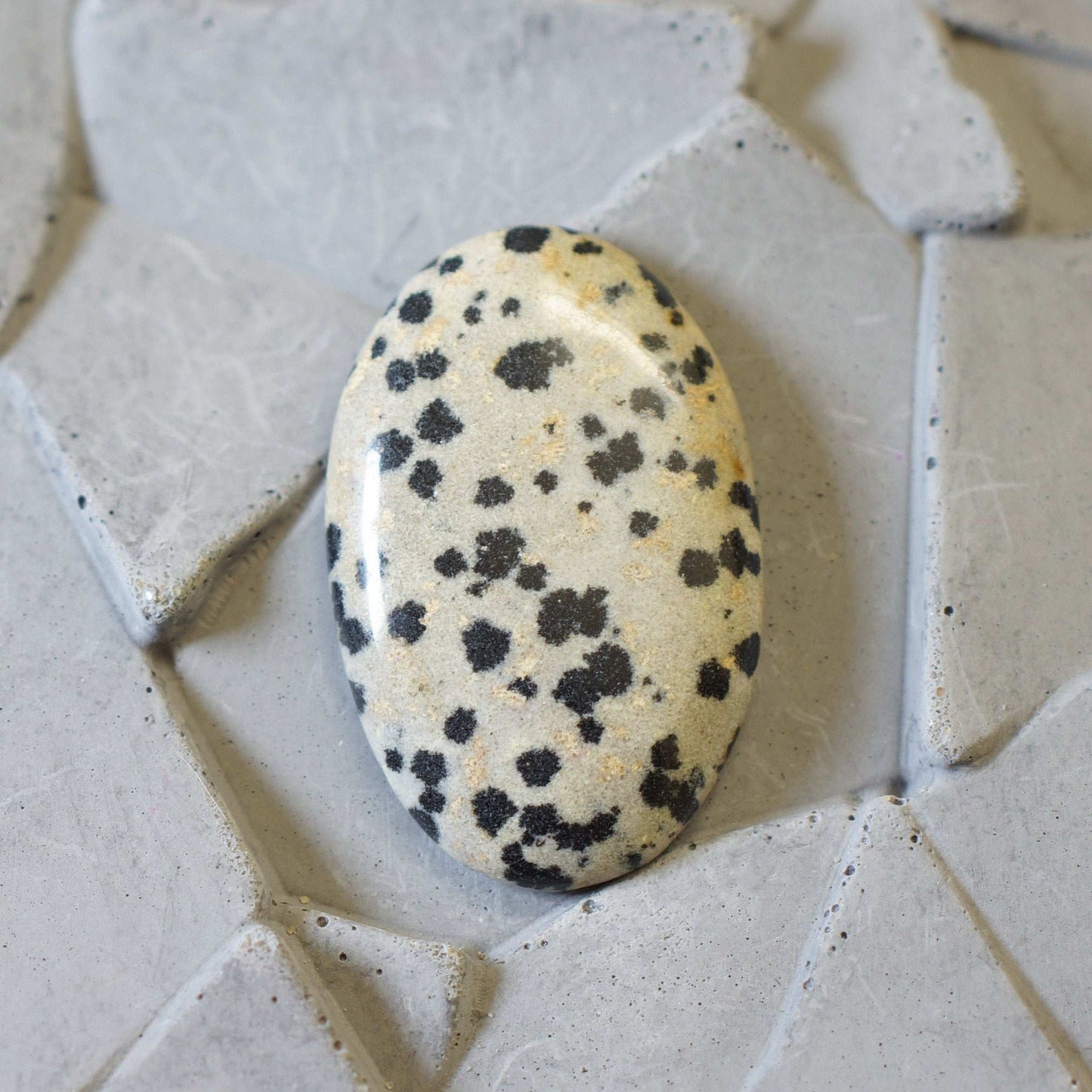 Dalmatian Jasper - Cabochon