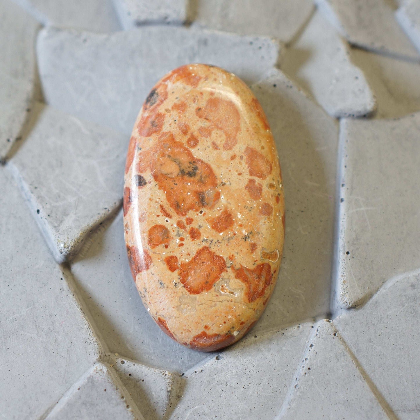 Orbicular Rhyolite - Cabochon