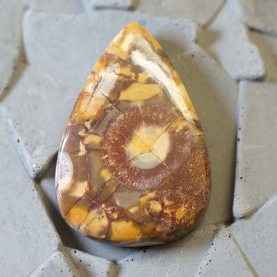 Astroid Jasper - Cabochon
