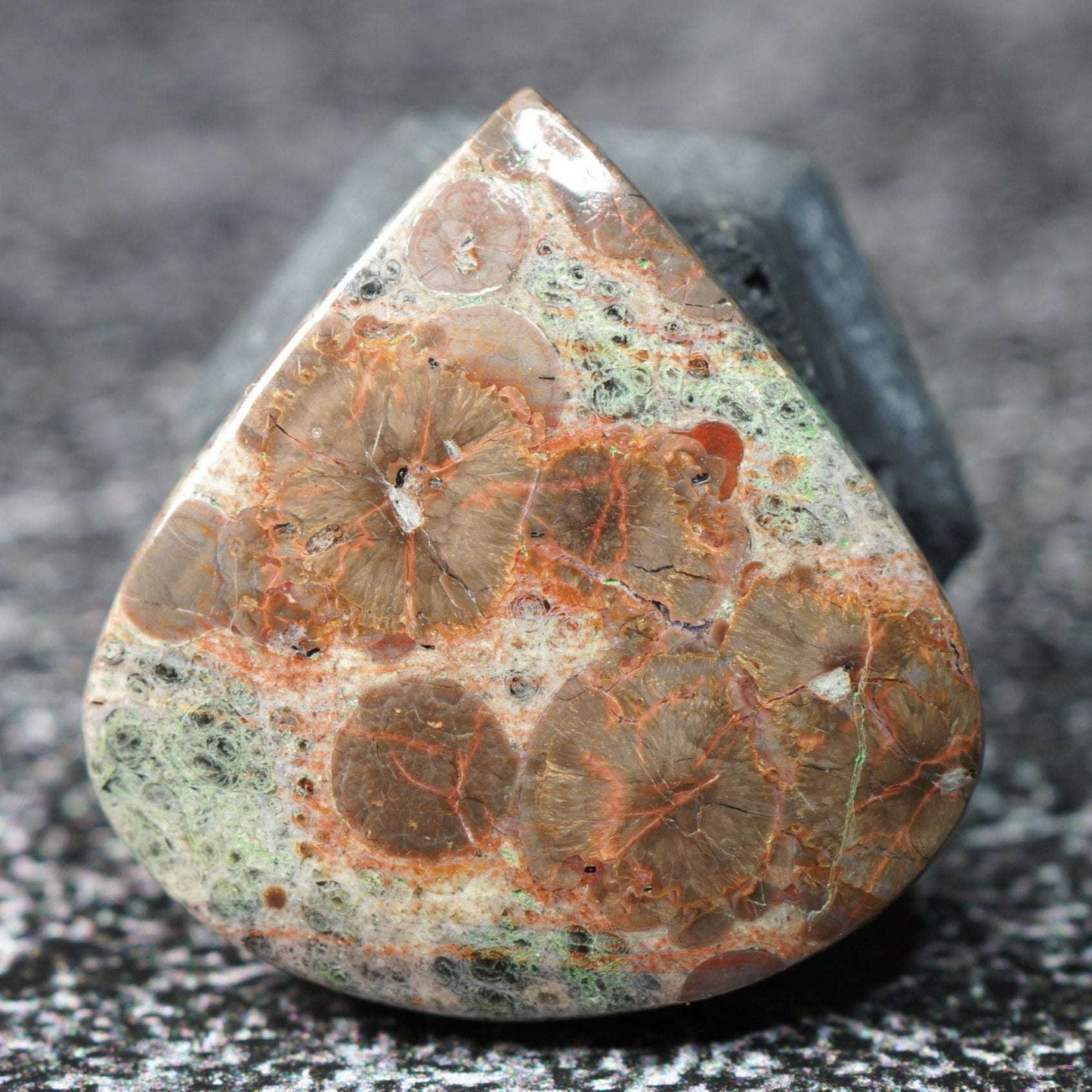 Galaxy Rhyolite - Cabochon