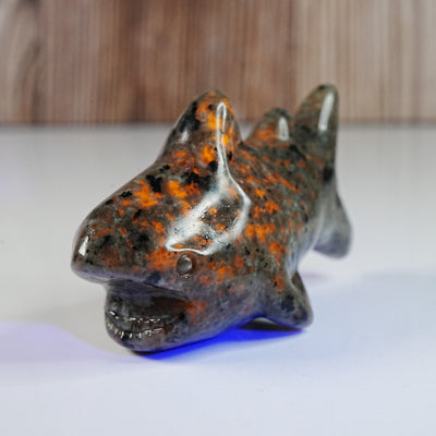 Sodalite Syenite Shark - Carving *UV*