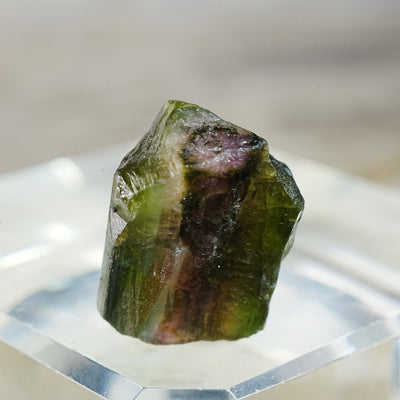 Watermelon Tourmaline - Mineral Specimen