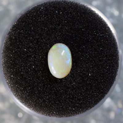 Idaho Opal - Cabochon