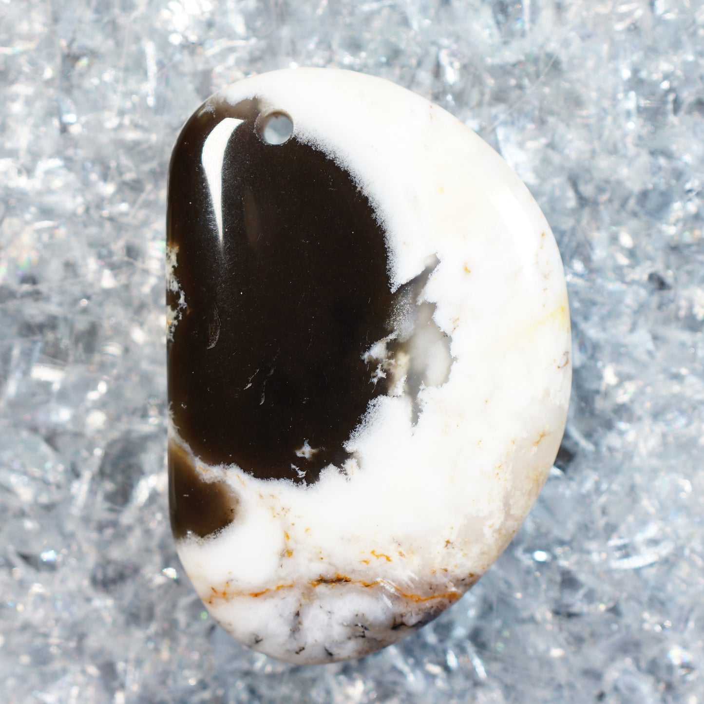 Petrified Palm Wood - Drilled Cabochon