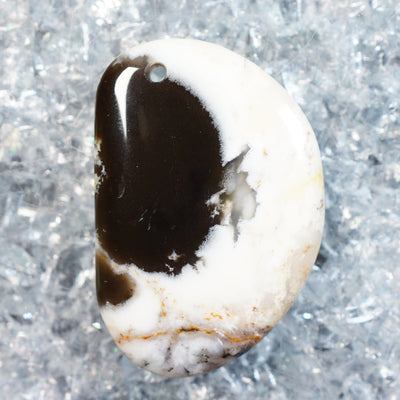 Petrified Palm Wood - Drilled Cabochon