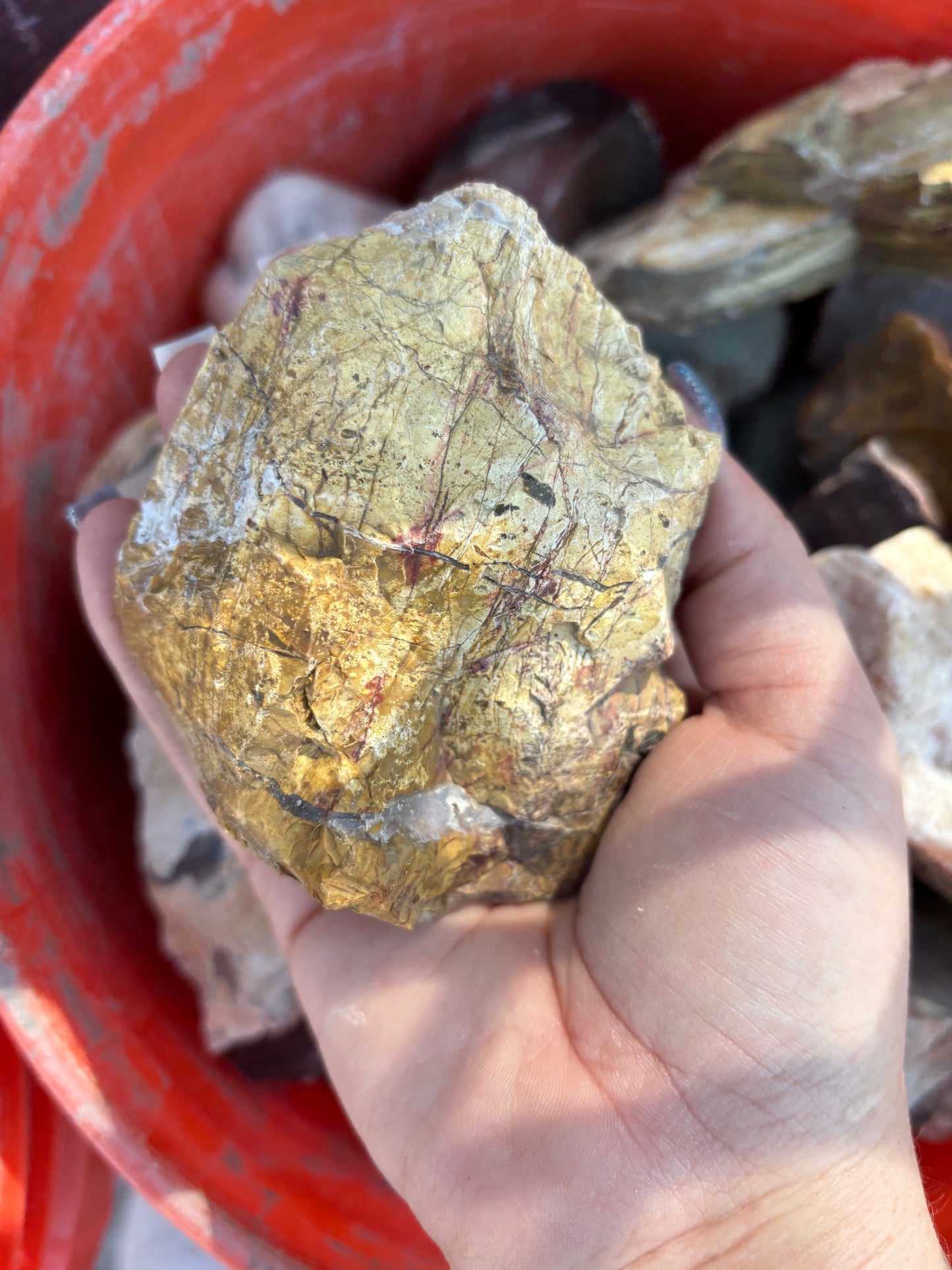 1lb Mixed Rough Rock for Lapidary & Tumbling