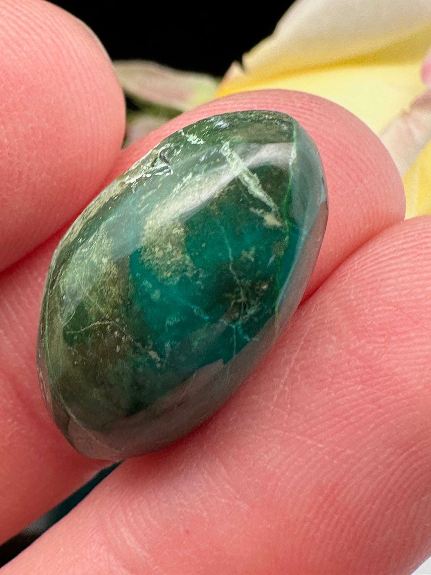 Chrysocolla Cabochon
