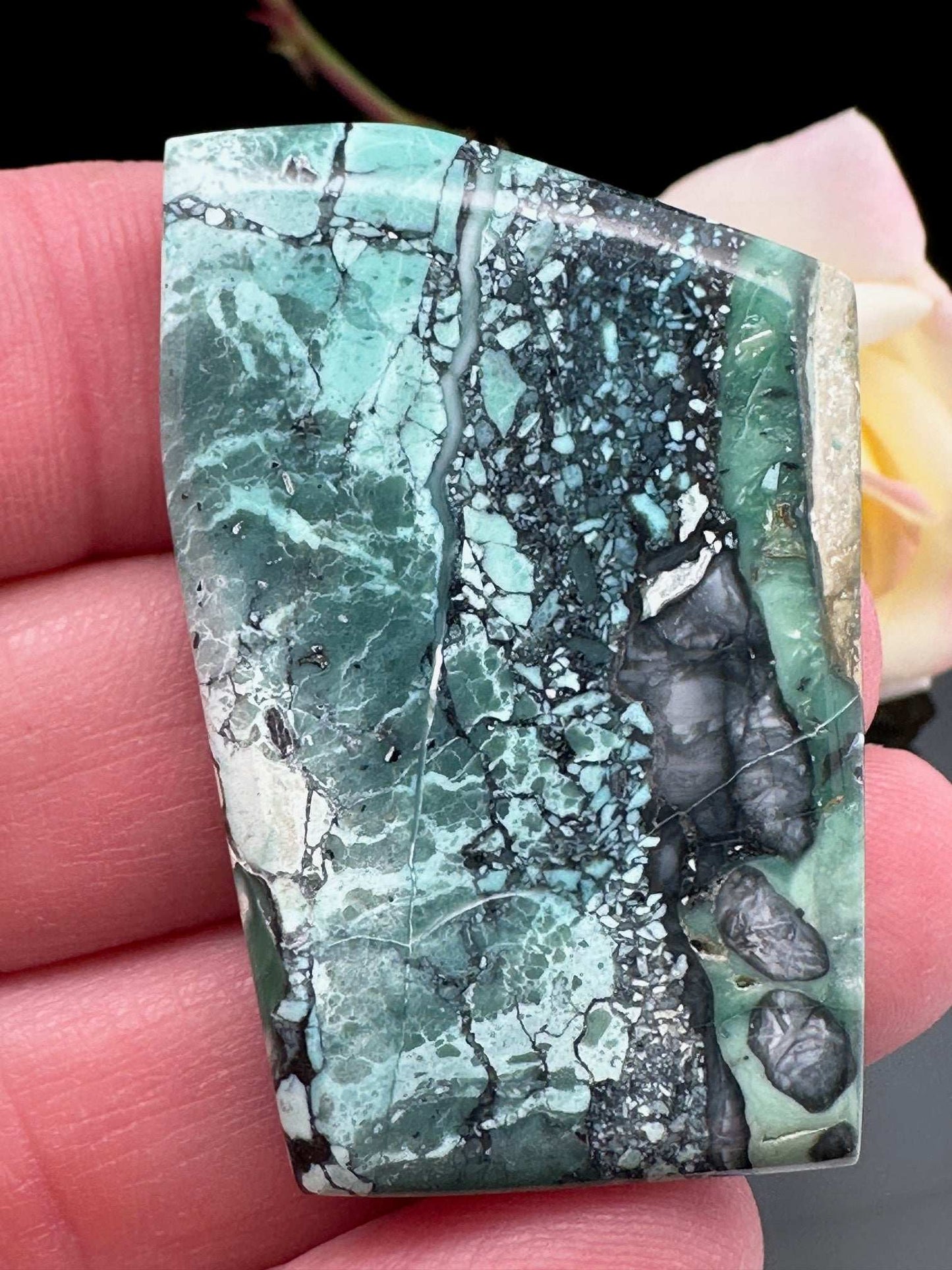 Spotted Frog Turquoise Cabochon