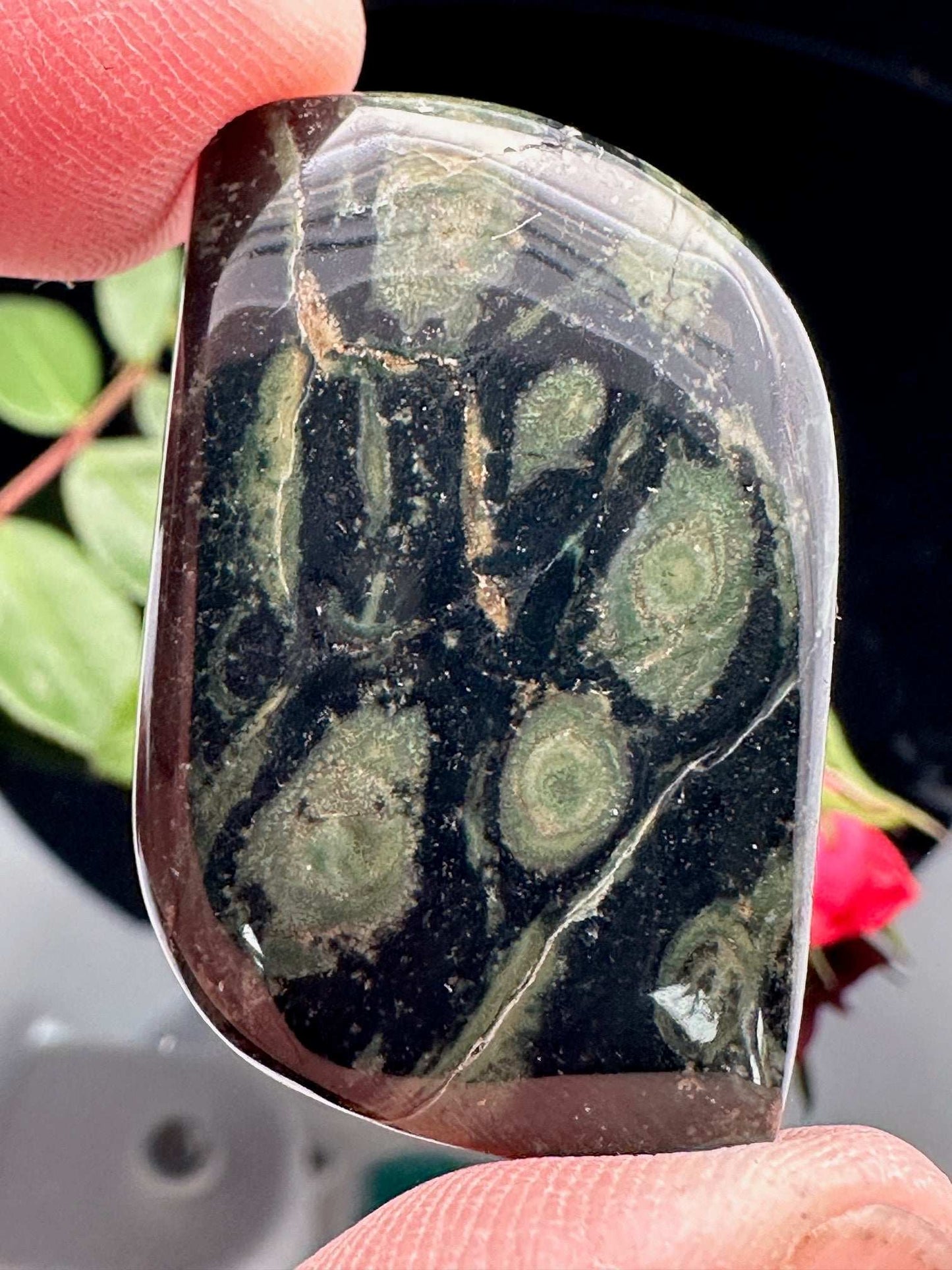 Free Form Kabamba Cabochon