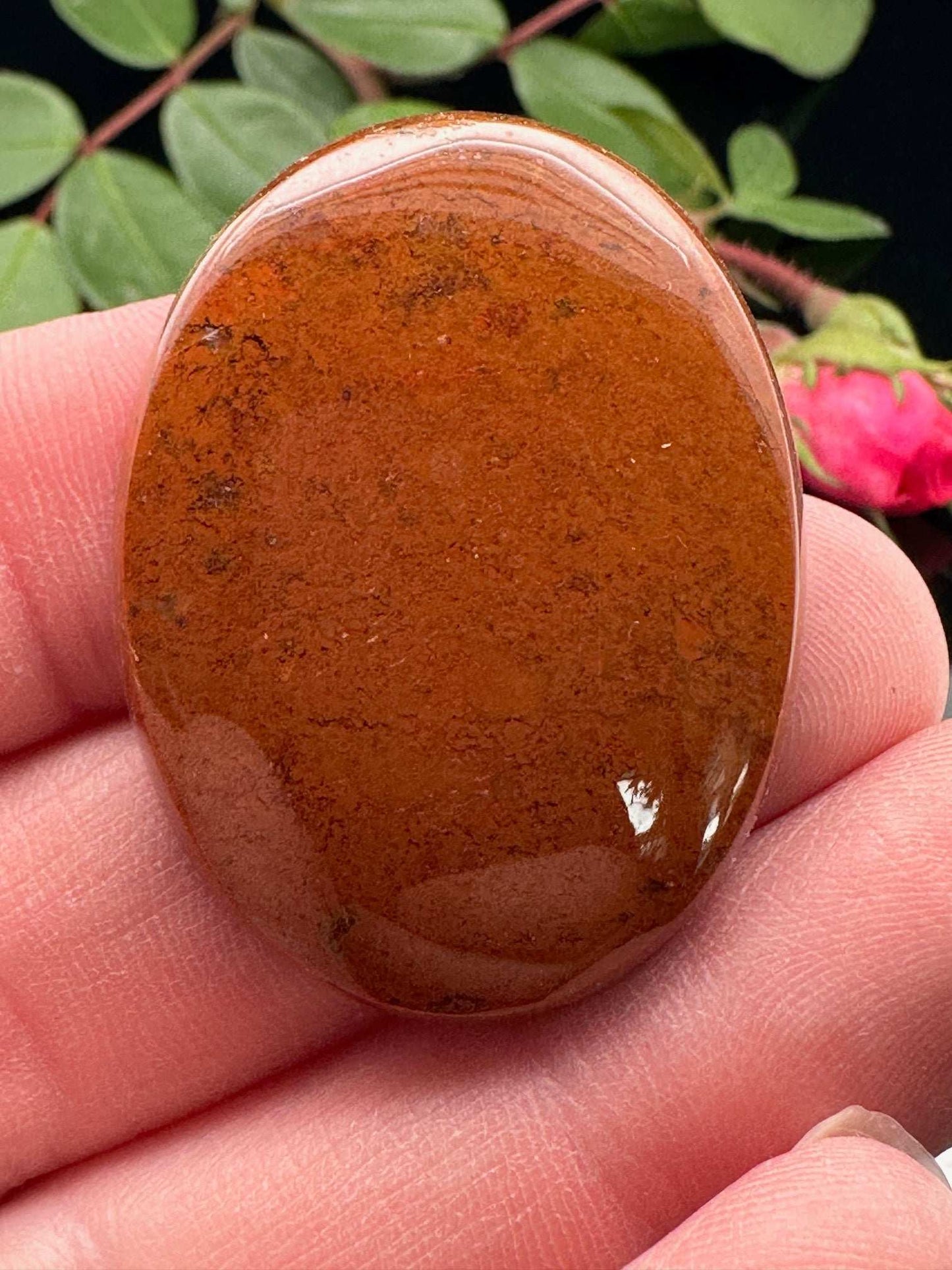 Holt Canyon Agate Cabochon