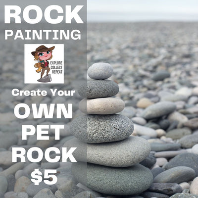Pet Rock Painting - Kid's Corner