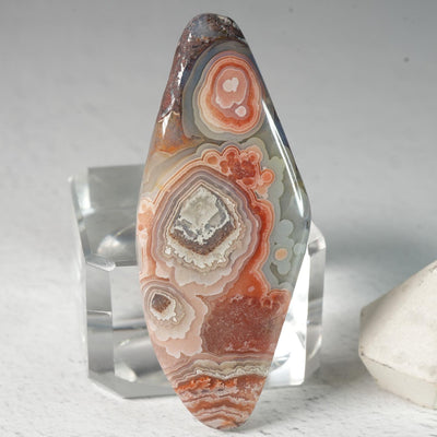 Crazy Lace Agate • Cabochon