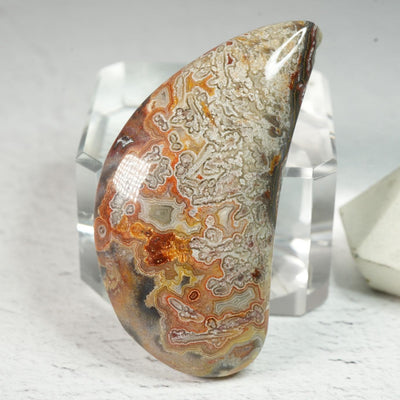 Crazy Lace Agate • Cabochon