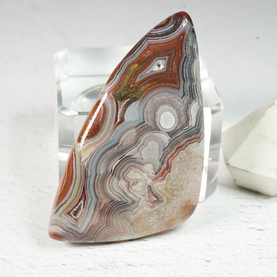 Crazy Lace Agate • Cabochon