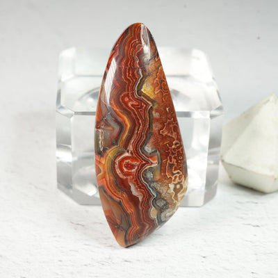 Crazy Lace Agate • Cabochon