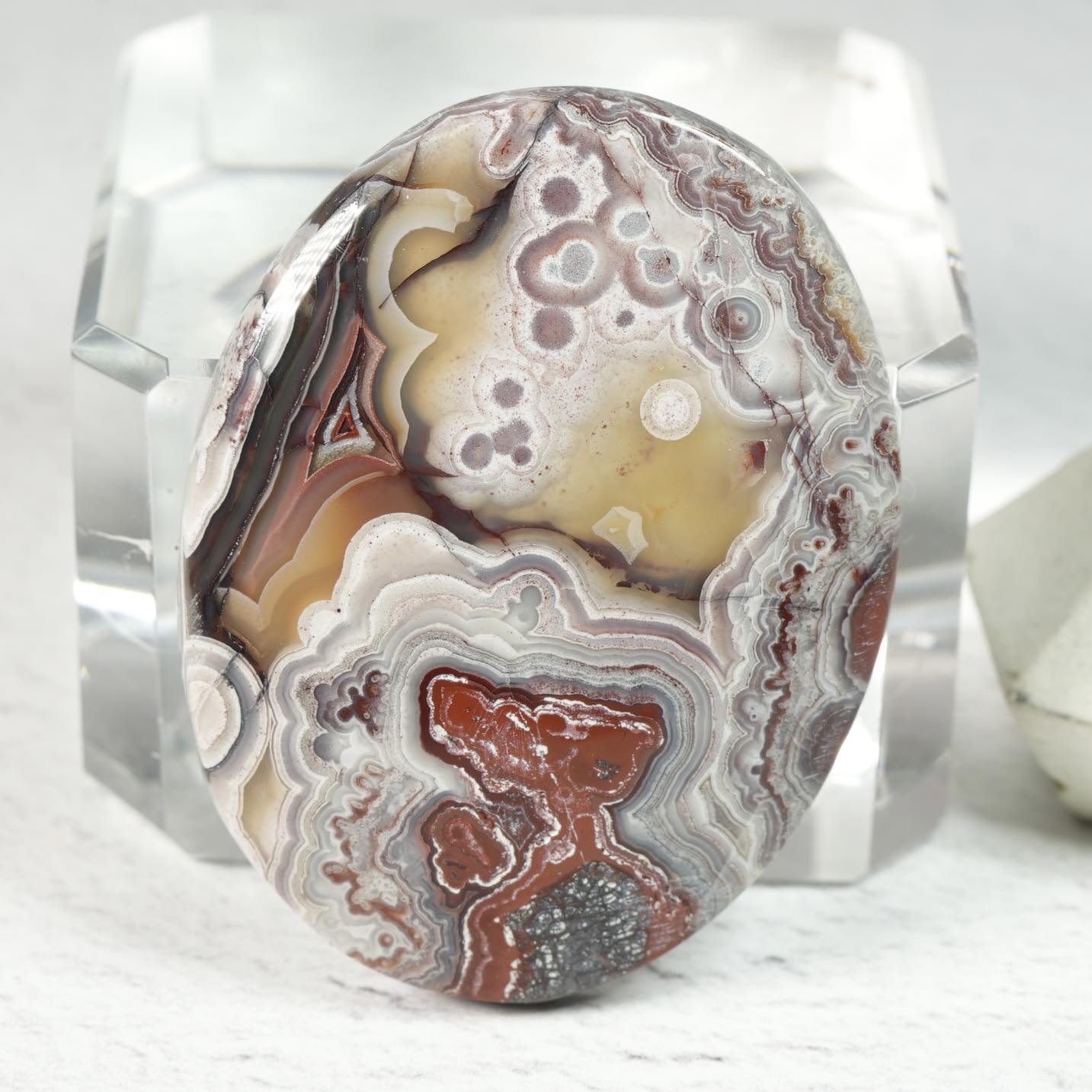 Crazy Lace Agate • Cabochon