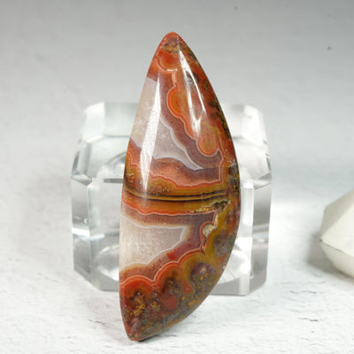 Mexican Berrendo Thunder Egg • Cabochon