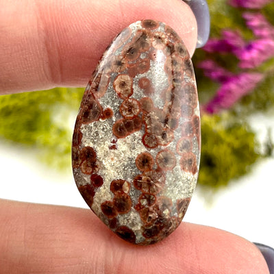 Astroid Jasper - Cabochon