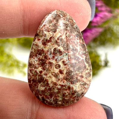 Astroid Jasper - Cabochon