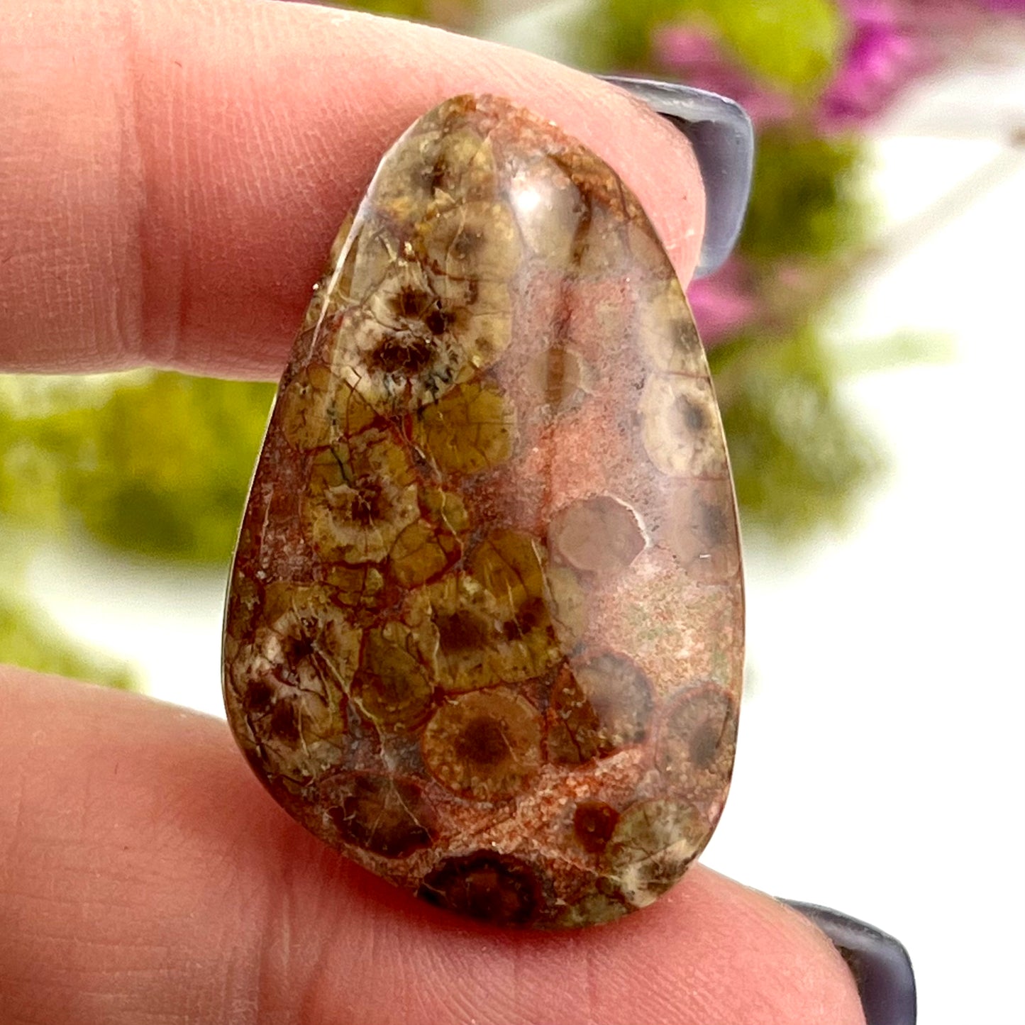 Astroid Jasper - Cabochon
