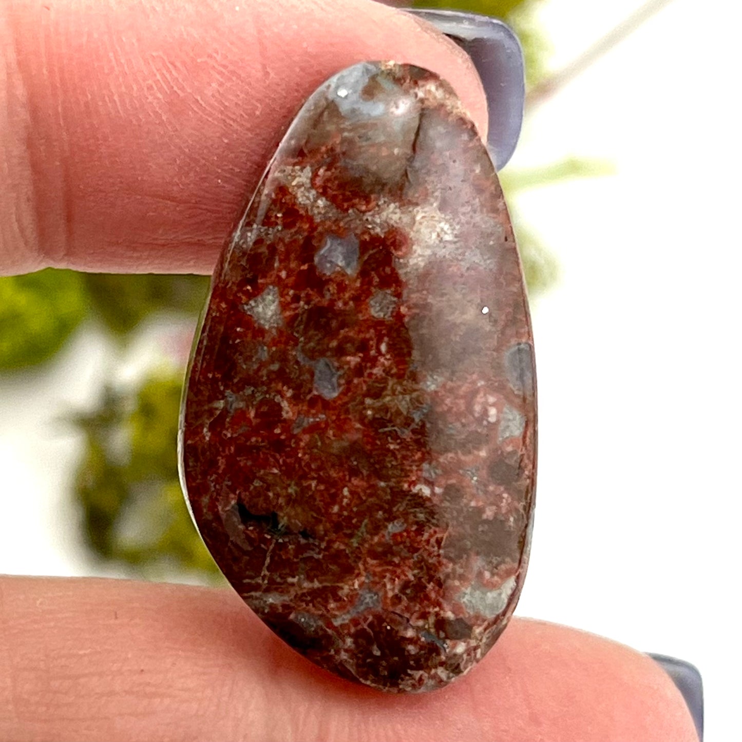 Astroid Jasper - Cabochon
