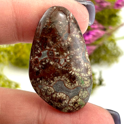 Astroid Jasper - Cabochon