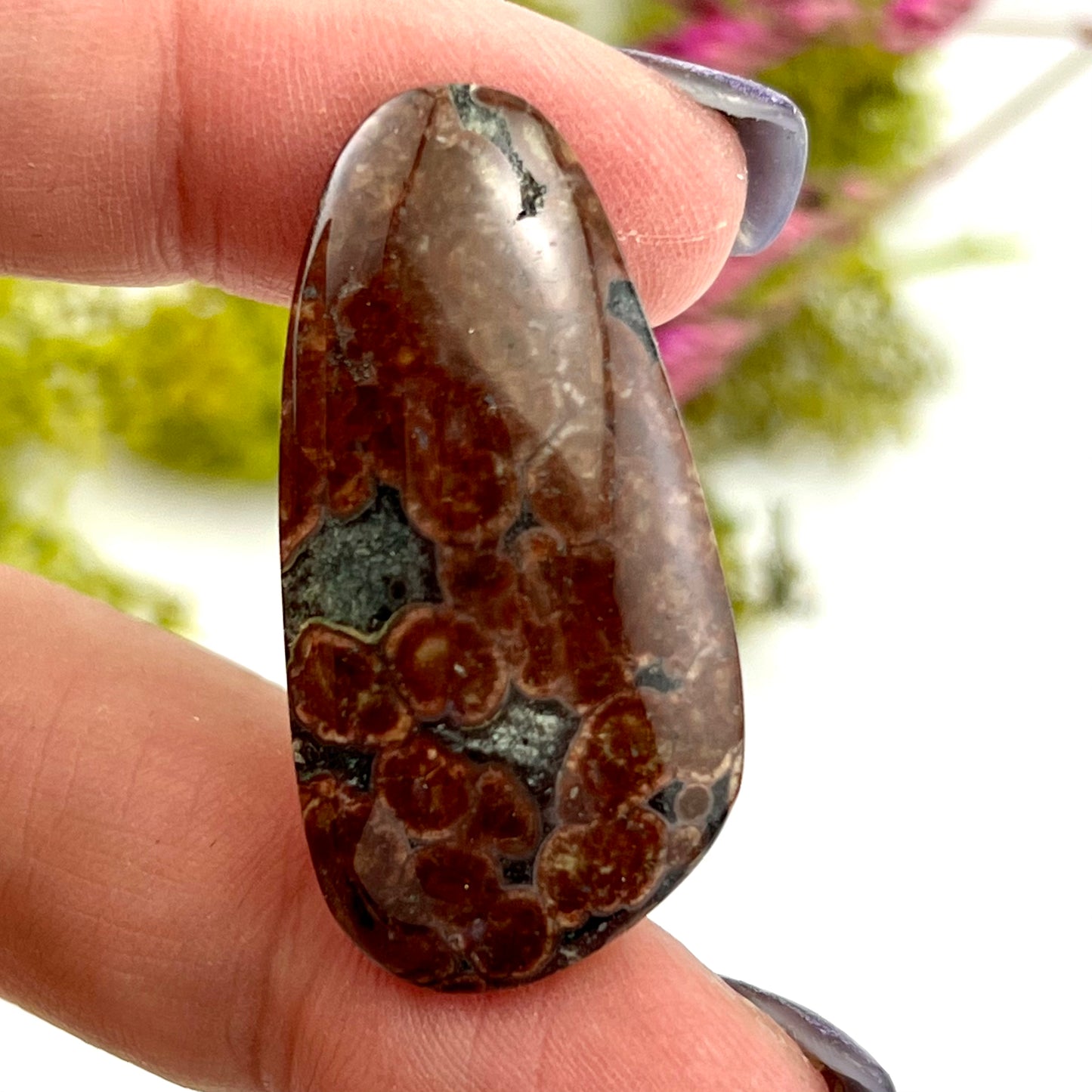 Astroid Jasper - Cabochon