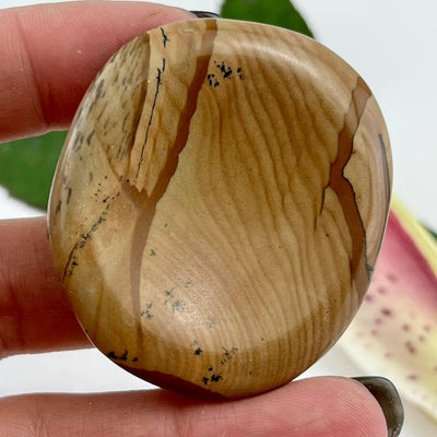 Picture Jasper - Large Worrystone