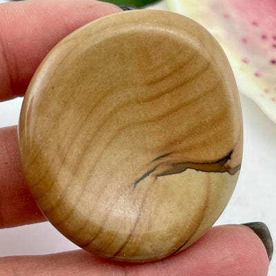 Picture Jasper - Large Worrystone