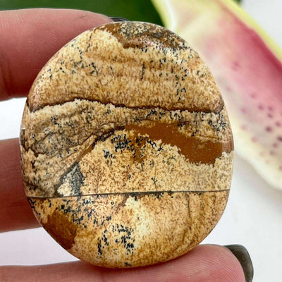 Picture Jasper - Large Worrystone