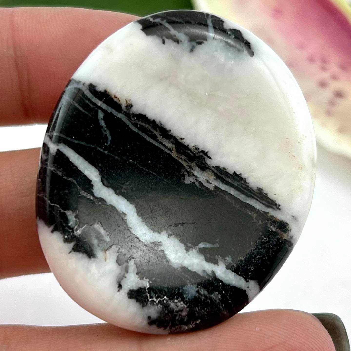 Zebra Stone - Large Worrystone