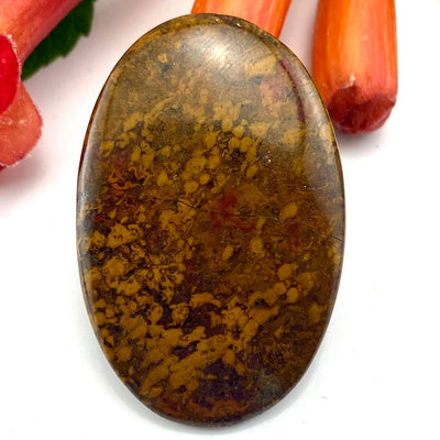 Spotted Stromatolite - Cabochon